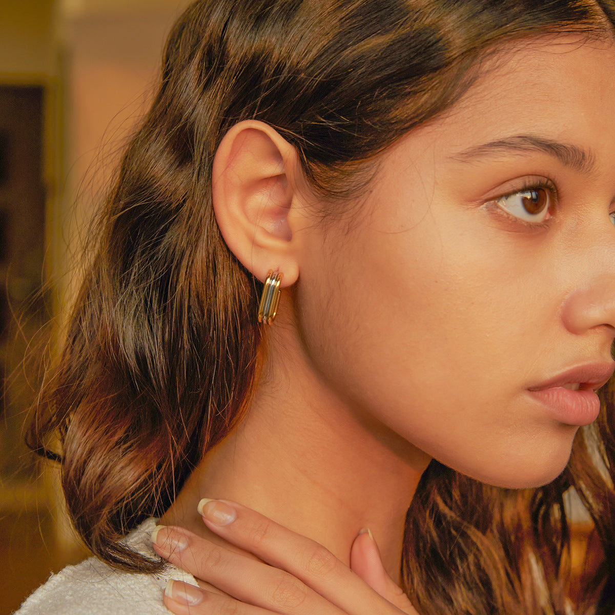Two-toned hoop earrings